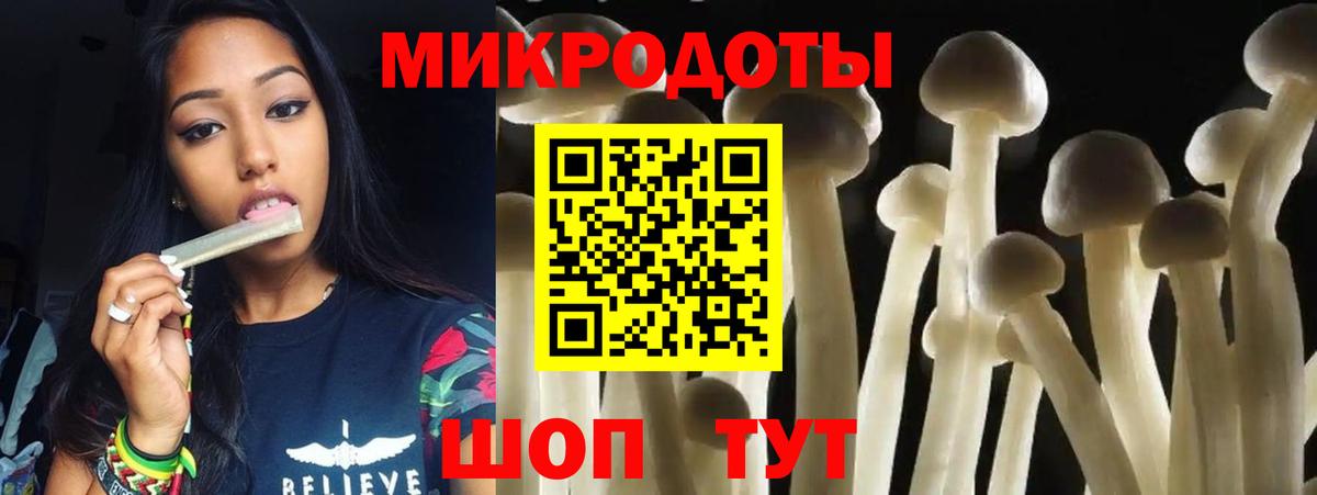 Псилоцибиновые грибы прущие грибы  Вход с VPN  Кольчугино 